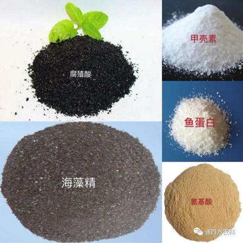 �_�֣���ֳ�������������ך������~���ס����������������ò�һ�������