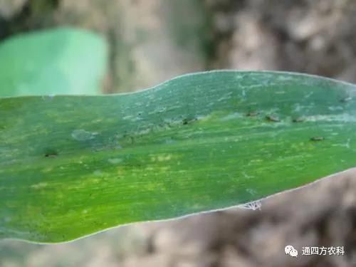 ���הQ����ô�k����ץ�o��Q��Ӱ푮a(ch��n)��!!!