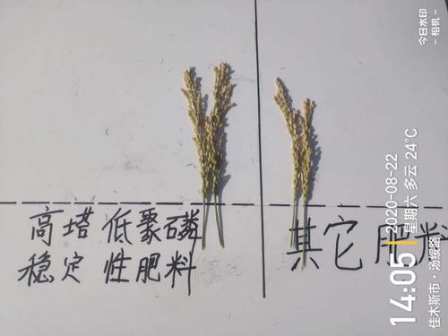 ͨ�ķ��r�Ƹ����;��׏ͺϷ���ˮ���ϵ�Ч�����F(xi��n)